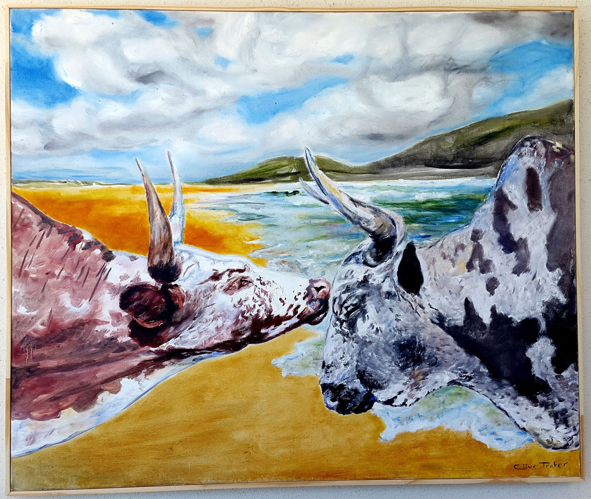 Two Nguni Heads - not for sale
